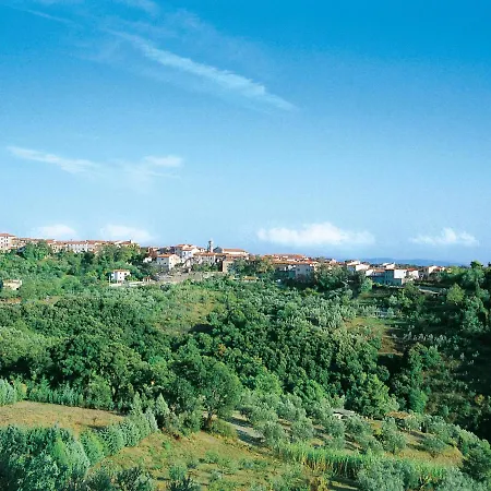 Sassi By Interhome Apartment